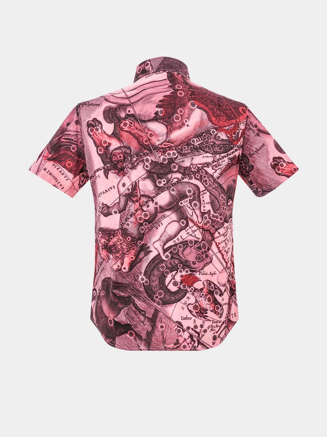 Rear view of the short-sleeve silk shirt in pink, with the pattern continuing across the back.